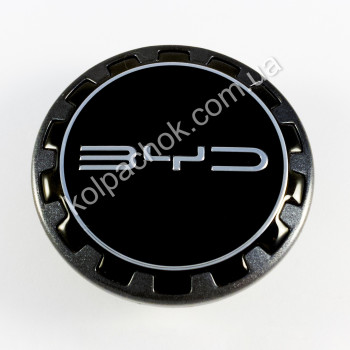 Ковпачок на диски BYD TA-3102420D (55мм) (Оригінал) Ковпачок на диски BYD TA-3102420D (55мм) (Оригінал)